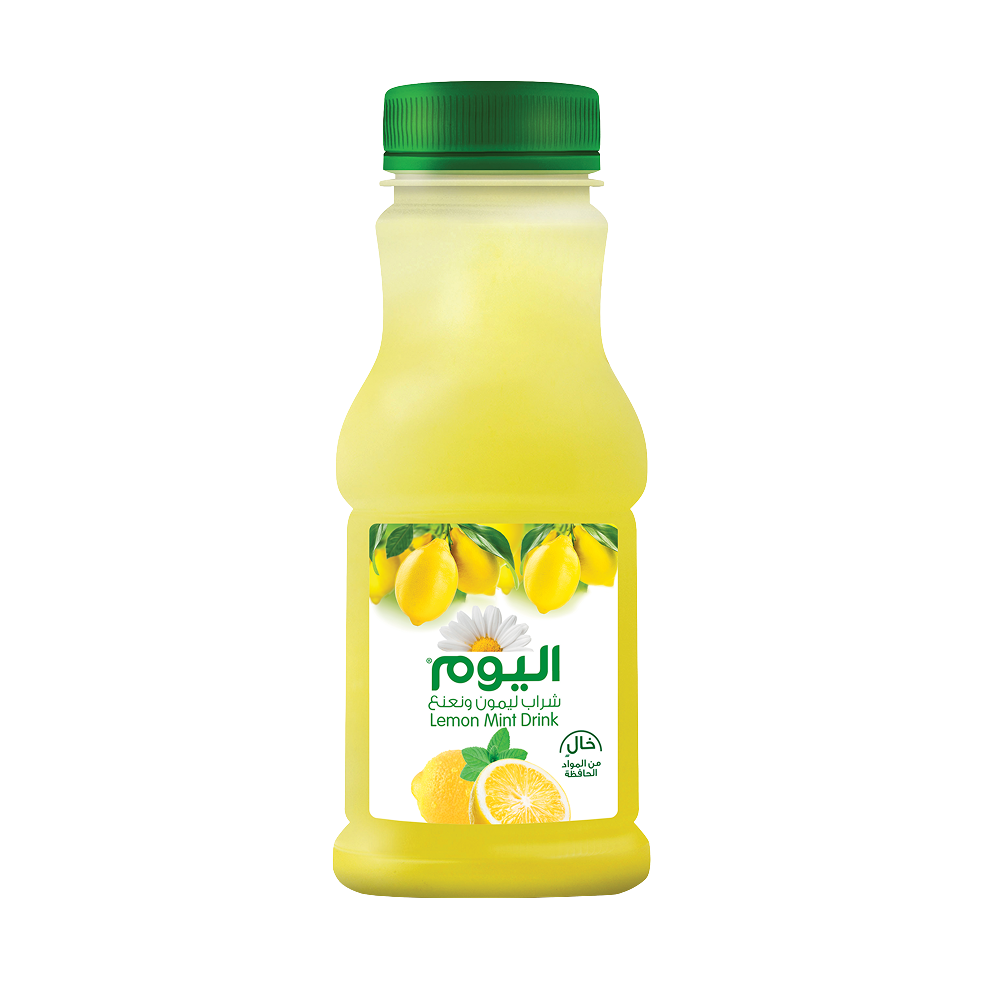 Lemon Mint Juice - Image 2